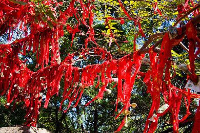 NEXON第三人称射击游戏《VEILED EXPERTS》宣布最终Beta测试 3月30日开启