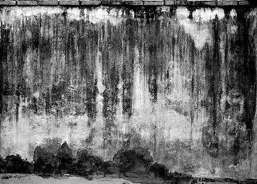 真岛吾朗确定乱入《超级忍》成为最后的反派嘉宾NPC